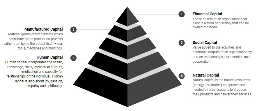 5 Capitals of Sustaiability Black 1